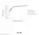 Fig. 17 - Recombinant viral vectors