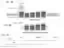 Fig. 20 - Recombinant viral vectors