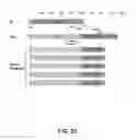 Fig. 23 - Recombinant viral vectors