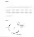 Fig. 05 - Mutated immunoglobulin-binding protein