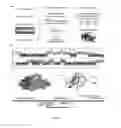 Fig. 02 - Reagents and methods for treating dental disease