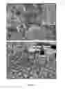 Fig. 10 - Reagents and methods for treating dental disease