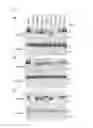 Fig. 06 - Compositions and methods related to tauopathy