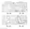 Fig. 31 - ILT3 polypeptides and uses thereof