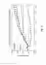 Fig. 03 - NOVEL ACTIVIN RECEPTOR AND USES THEREOF