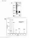 Fig. 06 - Compositions and methods for inhibiting thrombogenesis