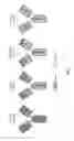 Fig. 04 - RNA-CODED ANTIBODY