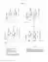 Fig. 09 - Influenza virus-neutralizing antibody and screening method therefor