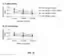 Fig. 12 - Methods and device to neutralize soluble toxic agents in the brain