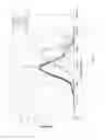 Fig. 03 - Nanofibril-polymer composites