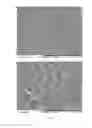 Fig. 04 - Nanofibril-polymer composites