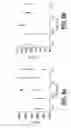 Fig. 09 - Reinforced Epoxy Nanocomposites and Methods for Preparation Thereof