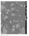 Fig. 05 - Polymer composition