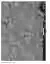 Fig. 06 - Polymer composition