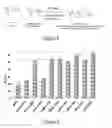 Fig. 04 - Polymerised cerium oxide nanoparticles in an active or bioactive network, protective topical treatments, methods for preparation thereof and uses thereof