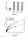 Fig. 05 - Polymerised cerium oxide nanoparticles in an active or bioactive network, protective topical treatments, methods for preparation thereof and uses thereof