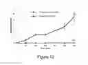 Fig. 08 - Polymerised cerium oxide nanoparticles in an active or bioactive network, protective topical treatments, methods for preparation thereof and uses thereof