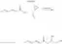 Fig. 05 - SORBIC ACID ESTER COMPOSITION