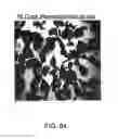 Fig. 26 - LOW COST HIGH VALUE SYNTHETIC PROPPANTS AND METHODS OF HYDRAULICALLY FRACTURING AND RECOVERING HYDROCARBONS
