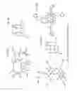 Fig. 03 - Preparation of nanoparticle materials