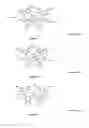 Fig. 03 - Process for the preparation of branched polyolefins for lubricant applications