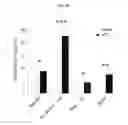 Fig. 02 - Regulatory B cells (tBREGS) and their use
