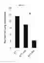 Fig. 09 - Regulatory B cells (tBREGS) and their use