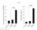 Fig. 19 - Regulatory B cells (tBREGS) and their use