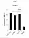 Fig. 30 - Regulatory B cells (tBREGS) and their use