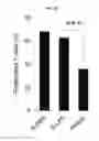Fig. 31 - Regulatory B cells (tBREGS) and their use