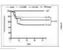 Fig. 03 - Cortical Bone-Derived Stem Cells