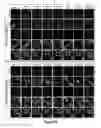 Fig. 06 - Cortical Bone-Derived Stem Cells