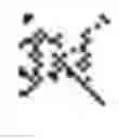 Fig. 02 - ENDOGENOUS EXPRESSION OF HLA-G AND/OR HLA-E BY MESENCHYMAL CELLS