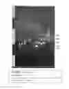 Fig. 12 - ENDOGENOUS EXPRESSION OF HLA-G AND/OR HLA-E BY MESENCHYMAL CELLS