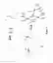 Fig. 03 - Leucine beta roll domains and uses thereof