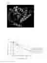 Fig. 02 - Psicose epimerase mutant and method for preparing psicose by using same