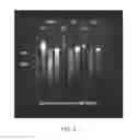 Fig. 03 - Method for nuclei storage