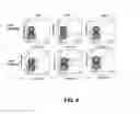 Fig. 10 - Method for selecting polynucleotides encoding antigen-specific immunoglobulin subunits