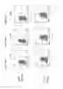 Fig. 19 - Method for selecting polynucleotides encoding antigen-specific immunoglobulin subunits