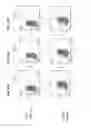 Fig. 21 - Method for selecting polynucleotides encoding antigen-specific immunoglobulin subunits