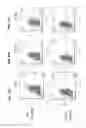 Fig. 23 - Method for selecting polynucleotides encoding antigen-specific immunoglobulin subunits