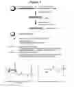 Fig. 02 - Chemically modified multifunctional short interfering nucleic acid molecules that mediate RNA interference