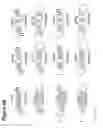 Fig. 08 - Chemically modified multifunctional short interfering nucleic acid molecules that mediate RNA interference