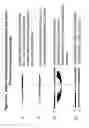 Fig. 17 - Chemically modified multifunctional short interfering nucleic acid molecules that mediate RNA interference