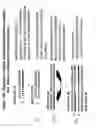 Fig. 18 - Chemically modified multifunctional short interfering nucleic acid molecules that mediate RNA interference