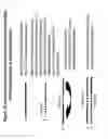 Fig. 21 - Chemically modified multifunctional short interfering nucleic acid molecules that mediate RNA interference