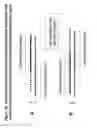 Fig. 24 - Chemically modified multifunctional short interfering nucleic acid molecules that mediate RNA interference