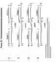 Fig. 28 - Chemically modified multifunctional short interfering nucleic acid molecules that mediate RNA interference