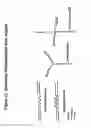 Fig. 30 - Chemically modified multifunctional short interfering nucleic acid molecules that mediate RNA interference