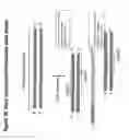 Fig. 32 - Chemically modified multifunctional short interfering nucleic acid molecules that mediate RNA interference